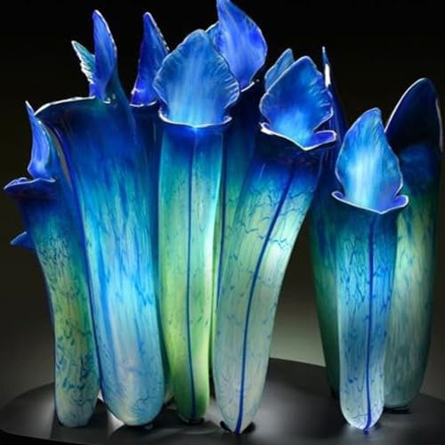 kiskick 20 Stück Nepenthes Samen Garten Balkon Dach Bonsai Fleischfressende Kannenpflanzen für schöne Garten- und Landschaftsgestaltung rot (20PCS) Nepenthes-Samen