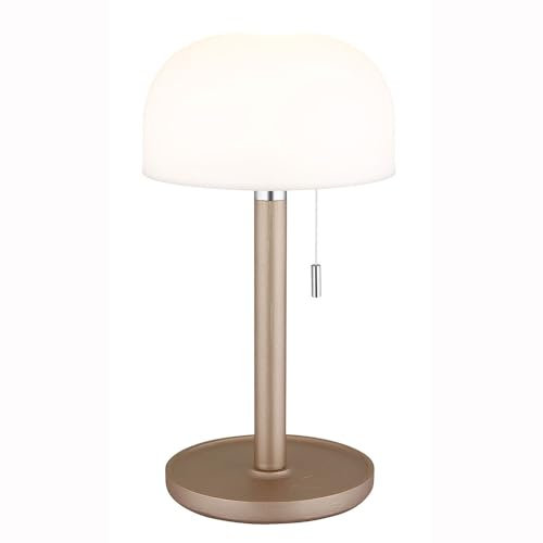 Tischleuchte Außenlampe LED Akku USB Bambus Gartenleuchte, Kunststoff opal champagner, 1,5W 80Lm warm-kaltweiß, DxH 15x28 cm