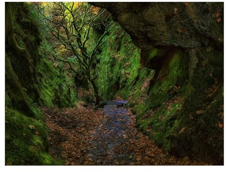 500 Teile Puzzle Familienspiel für MäNner & Frauen-Schlucht,Treppe,Laub 52x38cm