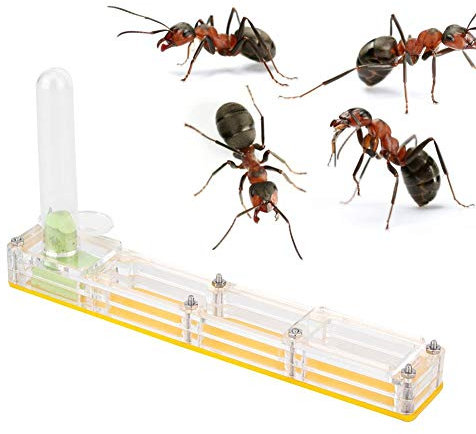 Ameisennest, Ameisenfarm Burg, natürliche Insekten-Ökologiebox, Formicarium, Schaukasten mit Wasserturm, feuchtigkeitsspendend (gelb)