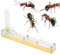 Ameisennest, Ameisenfarm Burg, natürliche Insekten-Ökologiebox, Formicarium, Schaukasten mit Wasserturm, feuchtigkeitsspendend (gelb)