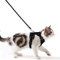 Katzengeschirr mit Leine Ausbruchsicher Katzenleine Set Verstellbar weich Kätzchenweste mit Reflektierenden Streifen Brustgeschirr für kleine Kitten (Schwarz, S)