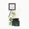 ipuro - erfrischender ipuro black bamboo Raumduft - dezenter Raumerfrischer mit grünen & holzigen Noten - stilvoller Lufterfrischer in der Wohnung für ein puristisches Dufterlebnis 200 ml