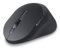 Dell-MS900 (Graphite) Premier Rechargeable Mouse with USB Wireless Receiver, 7 Buttons, Interface-2.4 GHz, Bluetooth 5.1, Movement Resolution 8000 dpi