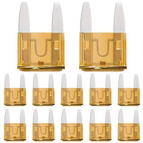 ALLECIN 50 Pièces 5A Mini Fusible Voiture 5Amp MINI Fusibles Voiture pour Auto Moto Automobile Camion 5Ampère Car Fuses