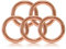 O - Ring aus Stahl 20mm, 5er Set, DIY Hunde-Leine/Hunde-Halsband, nichtrostend, Ideal mit Paracord 550, geschweißt, Farbe: roségold