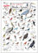 Earth Sky + Water - Sibley's Birds of Texas - Poster
