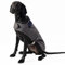 HUGO & HUDSON x Hackett Tweed Hundejacke Mantel Cordkragen, grau kariert Fischgrätmuster M50