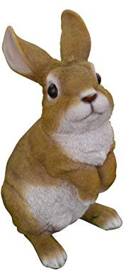 M.E.G Cards & ‿Gifts Vivid Arts Décoration de maison ou de jardin Motif lapin