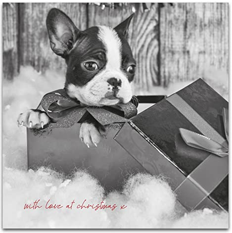 Emotional Rescue BWX314 Weihnachtskarte, französisch, offen, 163 x 163 mm, Schwarz/Weiß