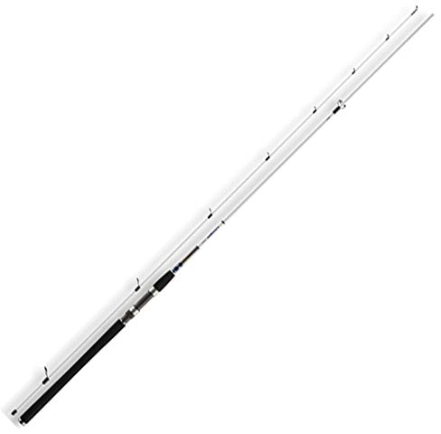 Daiwa Grandwave Meerforellenrute 3,05m 10-40g Spinnrute