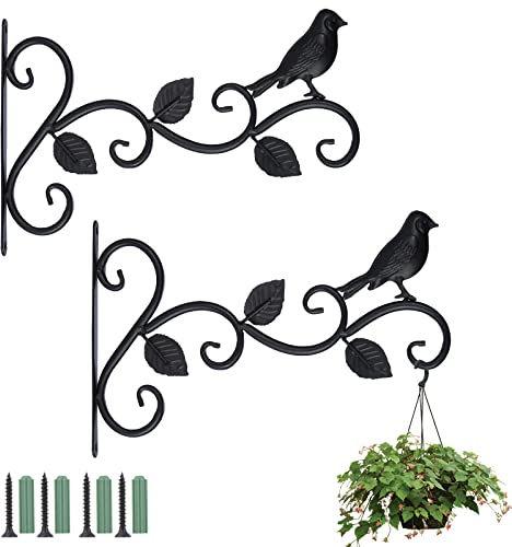 Coolty 2pcs Ganchos para Colgar Plantas Hierro, 12 Pulgadas Soportes para Cestas Colgantes para Macetas Linterna de Comedero de Pájaros Carillón de Viento