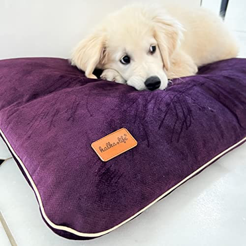 Wasserdichtes Kissen für Hunde und Katzen. Haustierfreundliches Materialbett für Haustiere. (S, Pflaume)