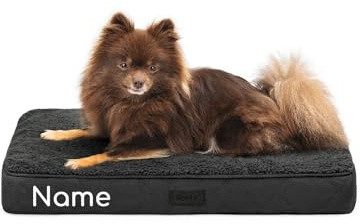 lionto Hundebett orthopädisch, 60x40x8 cm, Robustes Hundekissen mit weichem Plüsch, Bezug abnehmbar & waschbar, wasserabweisend, geeignet für kleine & große Hunde + Katzen, schwarz (Namensaufdruck)