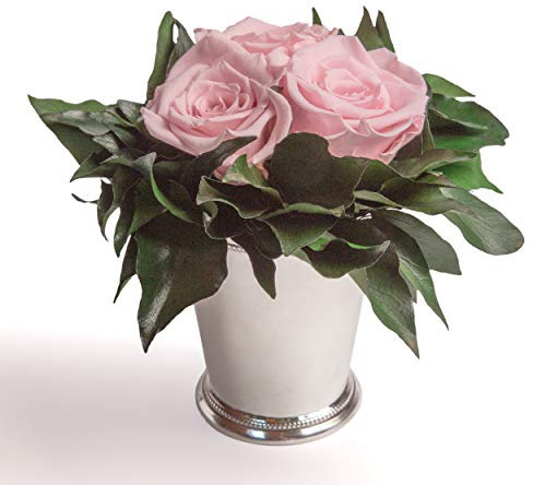 ROSEMARIE SCHULZ Heidelberg Konservierte Blumen in silberfarbenen Becher 3 Infinity Rosen konserviert langhaltende Blume (Rosa, 3 Rosen)