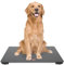 Digitale Tierwaage, 100kg Hundewaage mit 3 Wiegemodi, Gehärtetes Glas Haustierwaage mit LCD Display 10g Innerhalb Messgenauigkeit Veterinärwaage 65 x 45cm