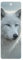 3D LiveLife Lesezeichen - White Out von Deluxebase Ein Wolf-Lesezeichen mit linsenförmigem 3D-Kunstwerk, lizenziert vom renommierten Künstler Collin Bogle