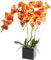 cailion Künstliche Orchideen Kunstblumen Künstliche Phalaenopsis Orchidee Bonsai künstliche Blumen mit Imitation Gefälschte Orchideen für Wohnzimmer Badezimmer Tischdekoration (orange1)