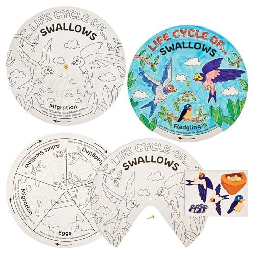 Baker Ross FN516 Swallow Bird Life Cycle Colour-in Sticker Wheels - Pack of 5, STEM, Science, Maths and Learning Aids for Kids and Schools