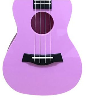 Anfänger-Gitarre Buntes Ukulele-23-Zoll-Instrument(3)
