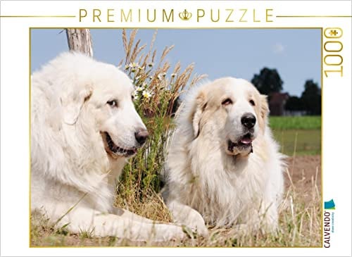 CALVENDO Puzzle Pyrenäenberghunde | 1000 Teile Lege-Größe 64 x 48 cm Foto-Puzzle für glückliche Stunden