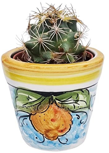 Sicilia Bedda - VASO MIGNON IN CERAMICA SICILIANA - CON PIANTINA GRASSA INCLUSA - Prodotto Artigianale di Qualità (Decoro Limoni)