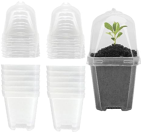 Lot de 12 pots de fleurs carrés en plastique transparent de 13,5 cm avec dôme et plateau d'humidité pour légumes, fleurs succulentes