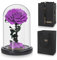 Lian Preserved Flower Real Rose in Glass Dome, Preserved Roses Never Withered Romantic Gifts for Female, Valentine's Day, Mother's Day, Birthday, Anniversary, Wedding and Christmas
