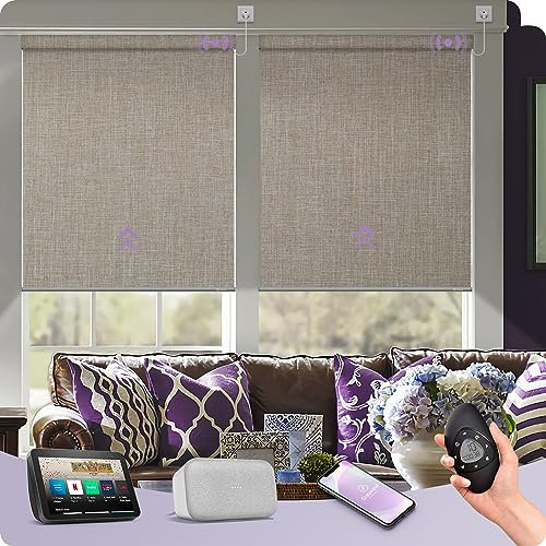 Graywind Verdunkelung Elektrisch Rollo Innen mit Festverdrahtet Motor, nach Maß Wärmedämmung Smart Fensterrollo Kompatibel Alexa Google, Sonnenschutz Motorisierte Rollo mit Fernbedienung, Light Coffee