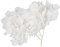 ULTECHNOVO 1Paquet Séchées de Fleurs Hortensia Blanches pour Bricolage Décorations de Mariage Fournitures de Nail Art Idées