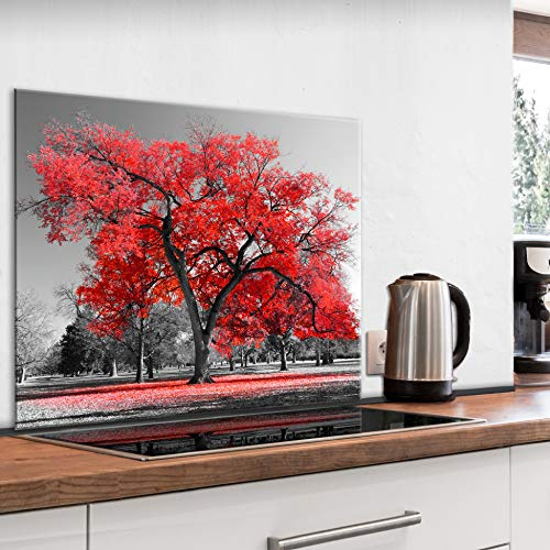 murando Paraschizzi in Vetro per Cucina Pannello Paraspruzzi per Piano Cottura Pannello per Parete Decorazione Grafica 80x60cm Natura Albero rosso nero c-B-0517-aq-e