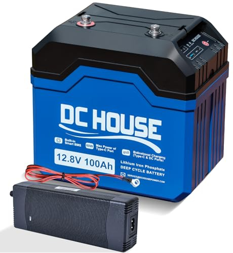 DCHOUSE LiFePO4 100Ah 12V Lithium Batterie mit 10A Batterie Ladegeräte, Bis zu 15000 Zyklen, 1280Wh Lithium Batterie, für Trolling-Motoren, Wohnmobile, Solaranlage,Camping,Off-Grid