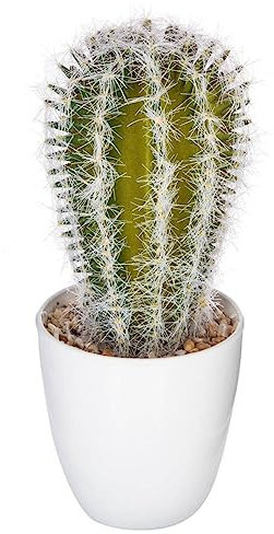 Atmosphera - Plante succulente et Cactus H18 - Modèle 3