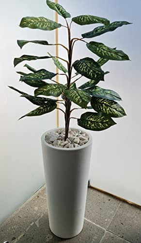Ficus Modern - Macetero de plástico (58,4 cm de altura), color blanco