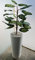 Ficus Pot de fleurs moderne en plastique recyclé pour intérieur/extérieur Blanc 58,4 cm