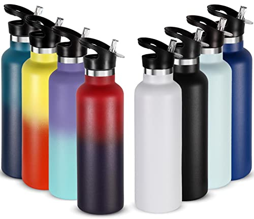 24oz Stainless Steel Water Bottles (Assorted,Set of 8)