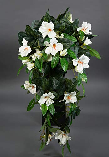 Seidenblumen Roß Hibiskusranke 70cm Creme ZF Kunstpflanzen Kunstblumen künstliche Pflanzen künstlicher Hibiskus Eibis