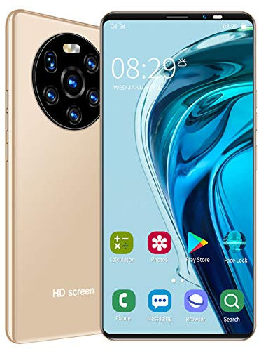 Telefono cellulare, LANDVO mate40 pro Schermo HD da 5,45 pollici Dual Card Dual Standby System 128GB Dual Card Dual Standby System Fotocamera ad alta definizione(Golden)