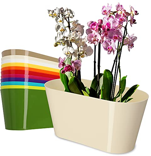 KADAX Pot de fleurs en plastique - 27 x 13 cm - Grand pot ovale - Pour orchidées, bellis, pensées, drazènes (écru)