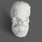 EASCHEER Zeus-Kopf-Statue, Kopfstatue, Skulptur, Totenkopf-Statue, griechische Mythologie-Dekoration, maximalistische Dekoration, Büro-Bücherregal-Dekor (Punk)