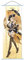 Generisch 1 x Genshin Impact Fontaine-Poster, Wandbehang, geschmiedetes Stoffgemälde, Dekoration, Wohnraum (Navia)