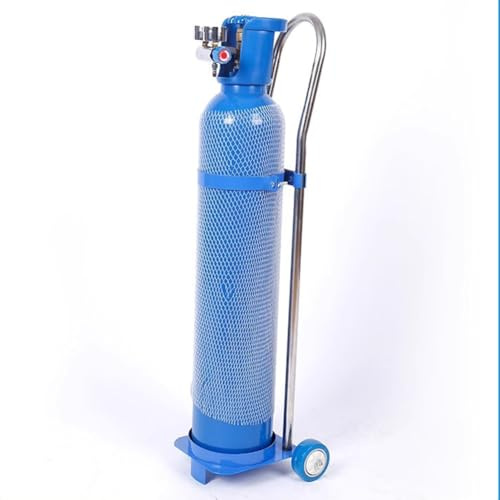 zktoermn Oxygen Cylinder Rack Gas Bottle Tank Cart, Oxygen Cylinder Trolley Cart With Wheels, 10/15/20 Liters, Home Nitrogen Storage Rack(17x80cm)