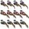 Künstliche Vögel Schaumfeder Spatz Vögel für Kunsthandwerk Garten Frühling Weihnachtsbaum draußen Hochzeitsdekoration (12Pcs)