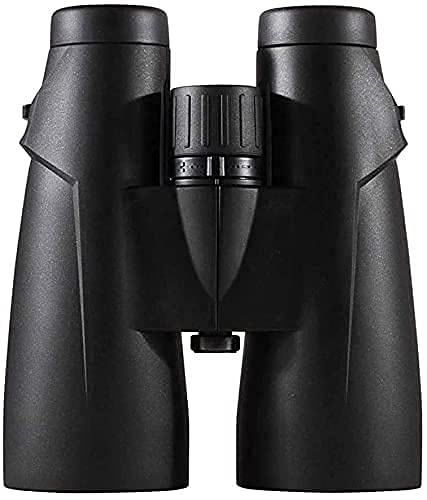 WANWEN 10 x 56 Dachkant-Fernglas für Erwachsene, tragbares und wasserdichtes Kompakt-Fernglas, Bak4 Prism FMC Lens HD Clear View für Vogelbeobachtung, Reisen, schwarz Little Surprise