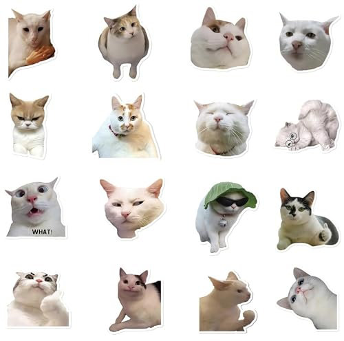 ziyue Cat Magnets for Refrigerator, Funny Fridge Magnets for Office Cabinets Gaming Kitchen Home Decoration Bumper(Cat - A)