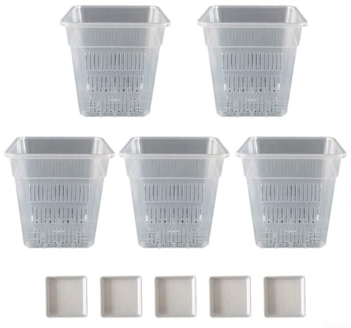 Pot à orchidées carré en plastique transparent avec circulation d'air (1)
