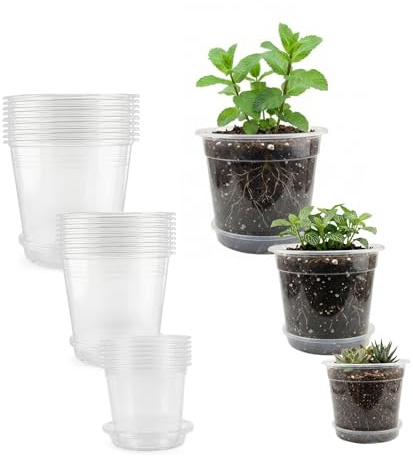 Chicpant 30 PCS Clear Plastic Plant Pots 10/13/15 cm | Transparent Orchid & Seedling Pots, Drainage Hole and Tray, Indoor Outdoor, Plant Root Growth
