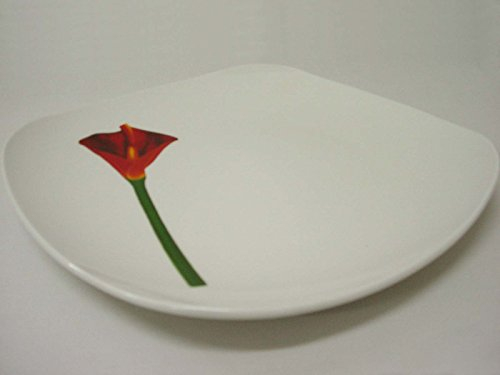 BAJOPLATO BAJO PLATO BANDEJA PRESENTACION DONG PORCELANA CALA ROJA