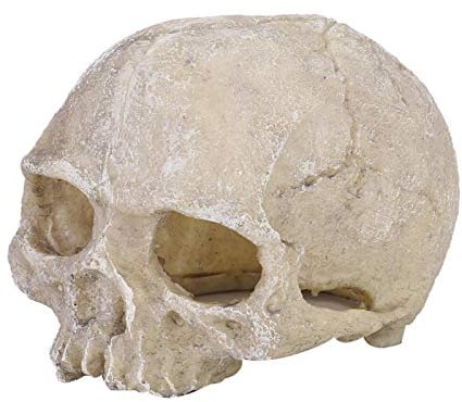 Pssopp Aquarium Schädel Ornamente Harz Künstliche Kopf Skeleton Dekoration Aquarium Dekorative Versteck Höhle Landschaft Terrarium Reptil Ornamente