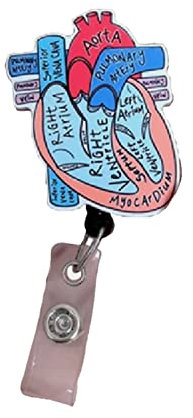 vsilay Ausweishalter mit einziehbarem Ausweishalter, anatomisches Herz, Krankenschwester, Anatomie, Krankenpfleger, Arzt, medizinische Namensschilder, Kartenabzeichen